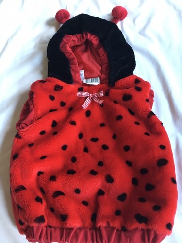 Costume lady bug rosso con - lady,