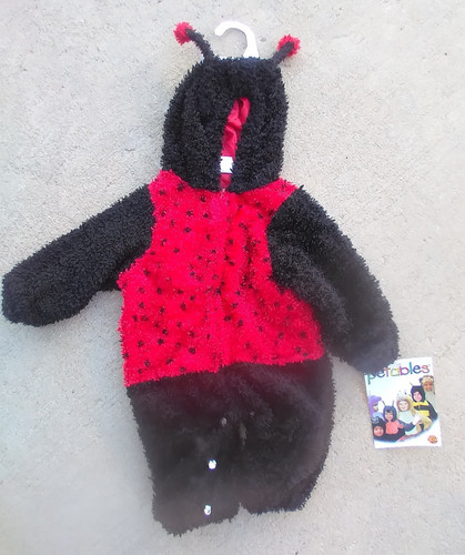 Costume lady bug - bug, mesi