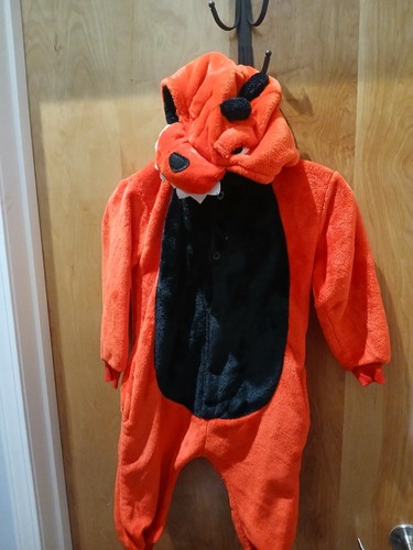 Costume drago vestito - costume,